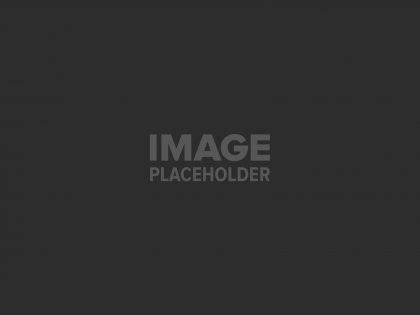 האם הכלבים הם האקססוריז החדש שלנו?